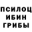 Псилоцибиновые грибы прущие грибы DaddyVanHool